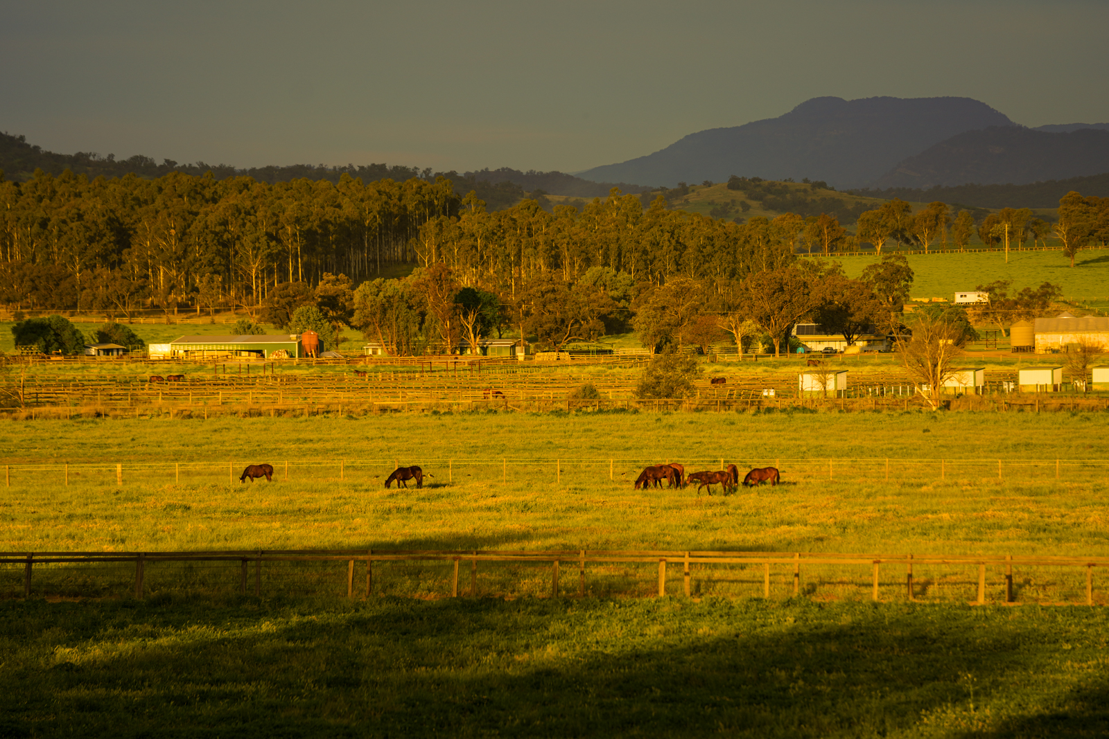 Historic Redbank Estate